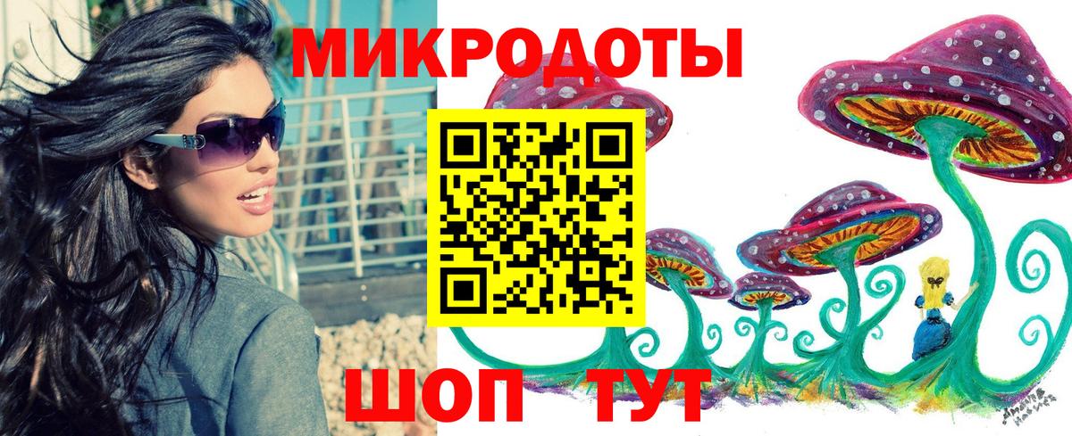 Ртищево  Псилоцибиновые грибы Cubensis  Вход с VPN 