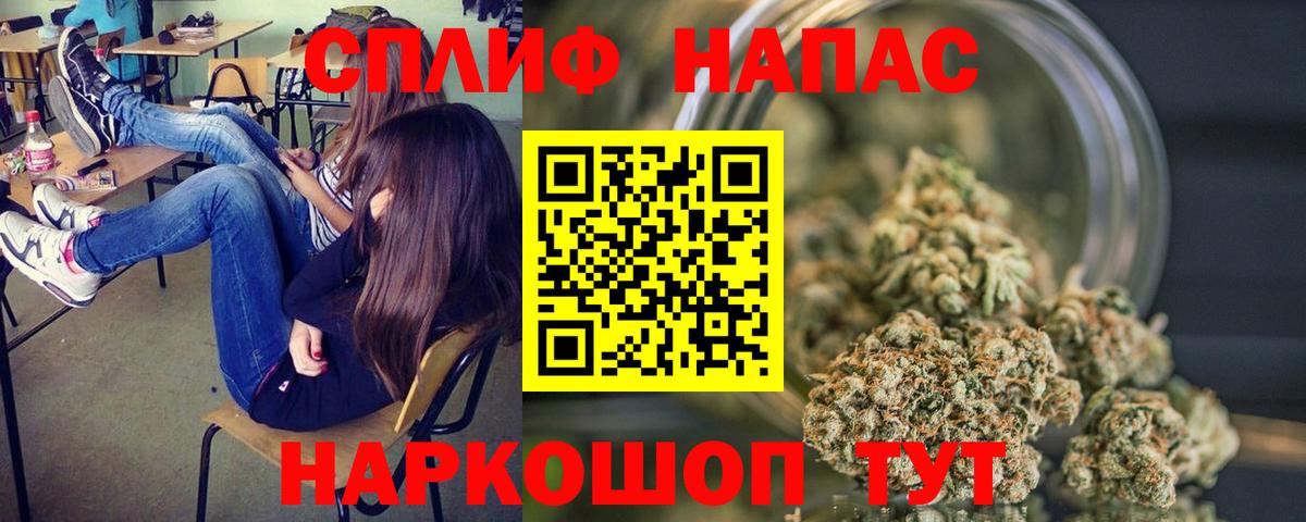 Конопля конопля  Канабис гибрид  Вход с VPN  Ртищево  Бошки Шишки семена 